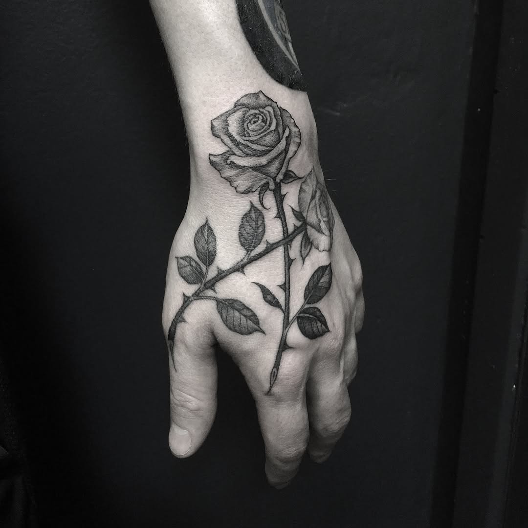 Flower, Rose