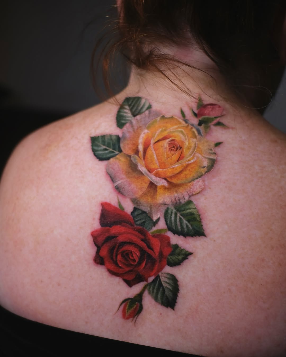 Flower, Rose, Nature