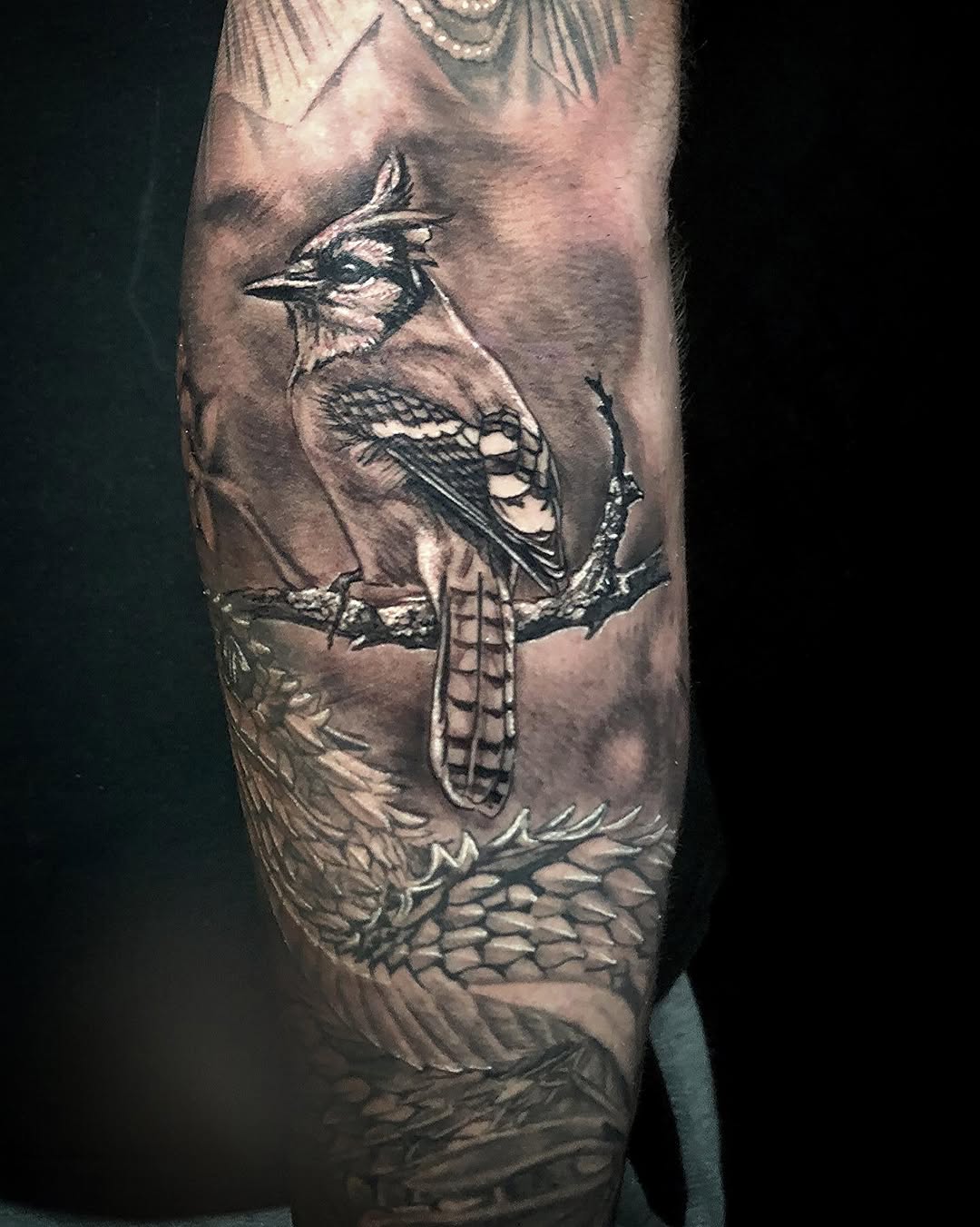 Animal