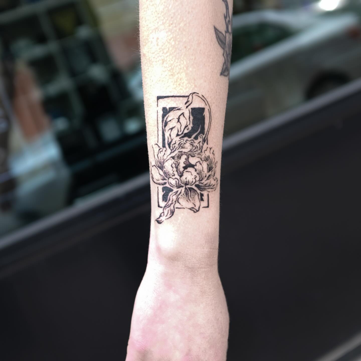 Flower, Rose
