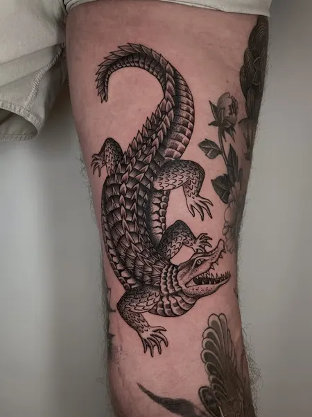 Dragon, 악어
