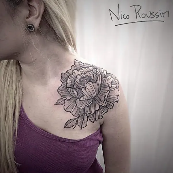 Flower, Rose