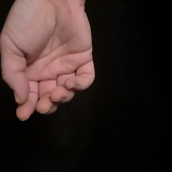 Animal, 강아지