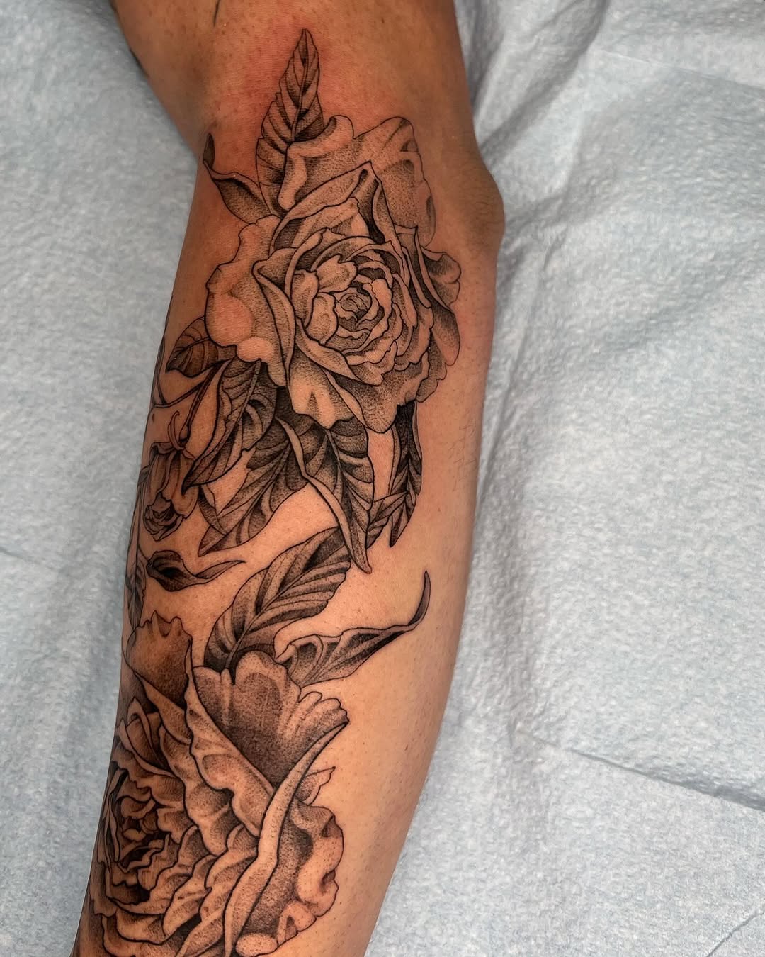 Flower, Rose