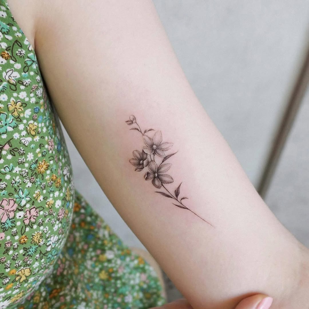 Flower, Rose