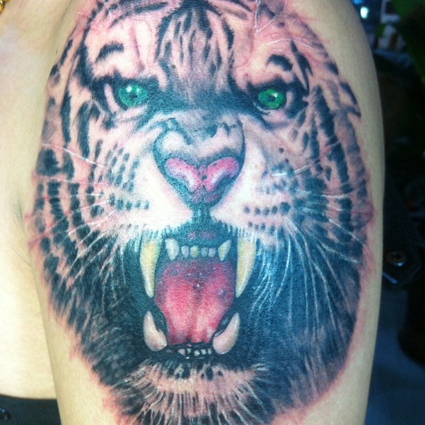 Tiger