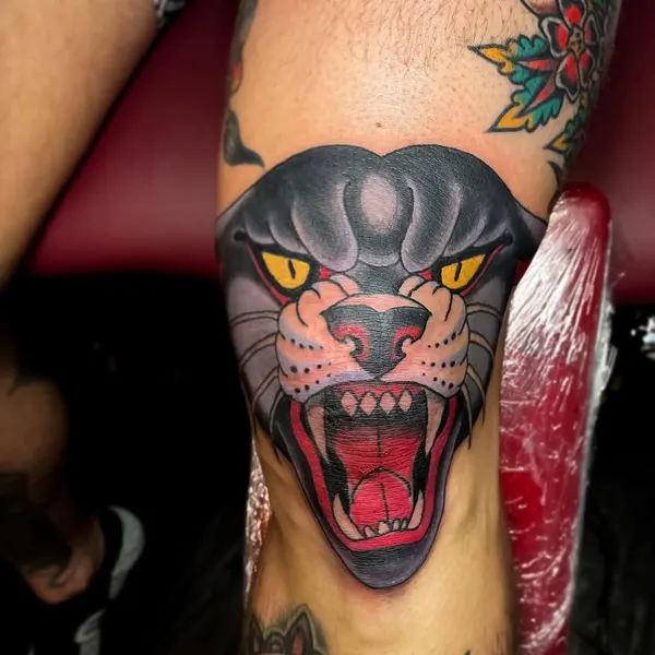 Tiger, Animal