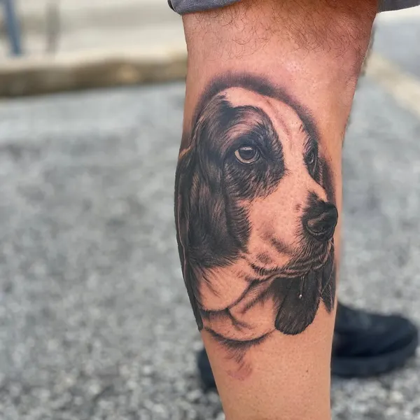Animal