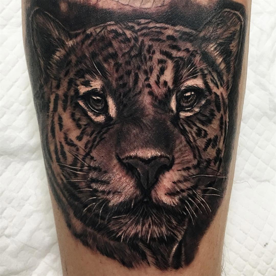 Animal