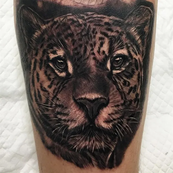 Animal