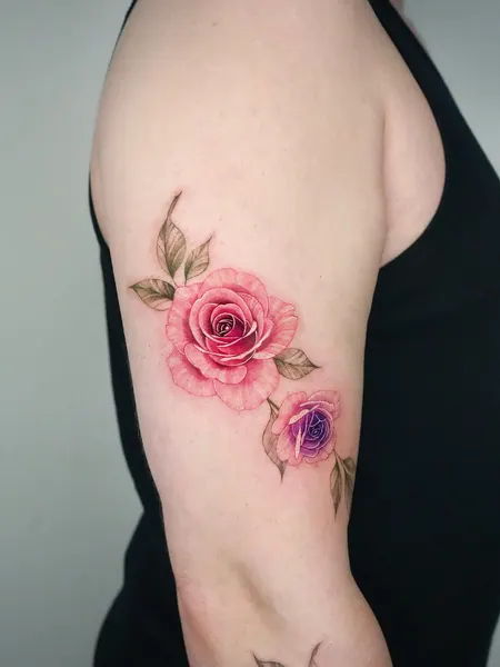 Flower, Rose, Nature
