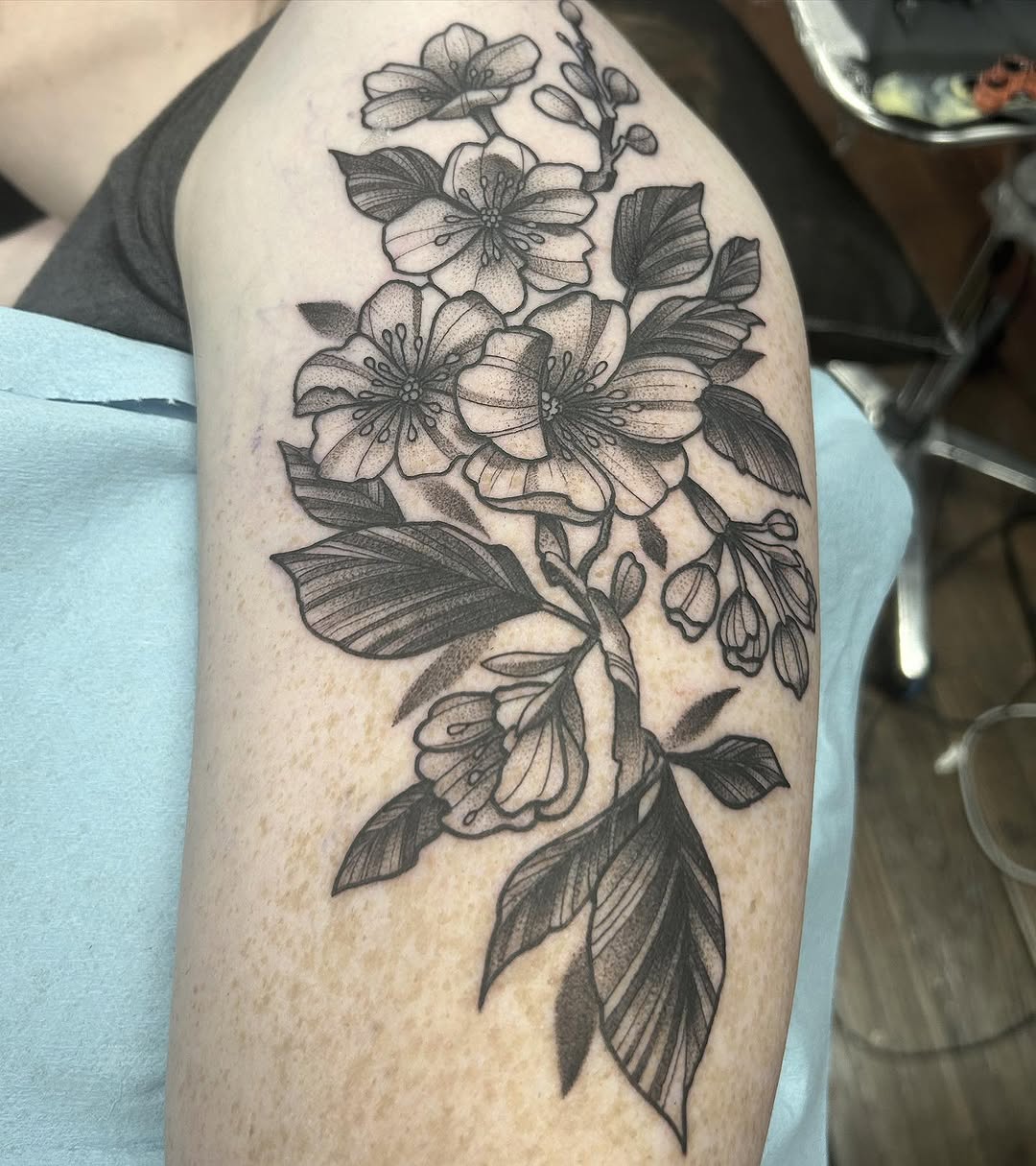sarastigmata