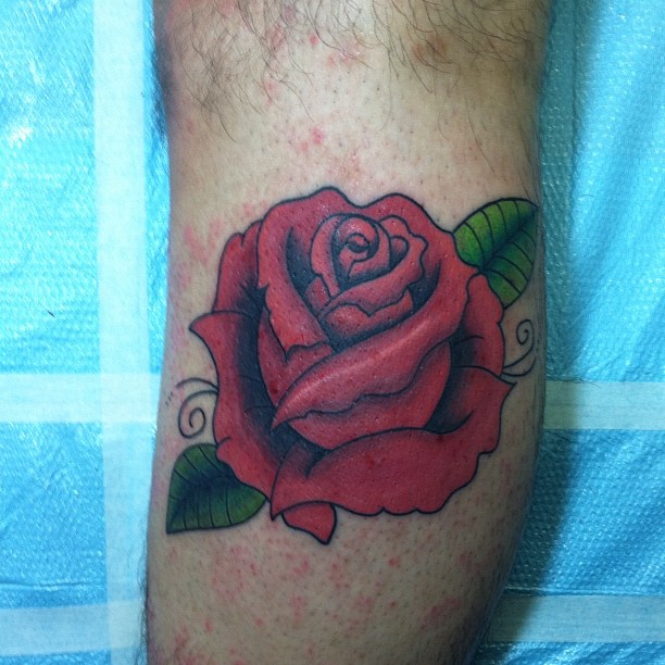 Flower, Rose