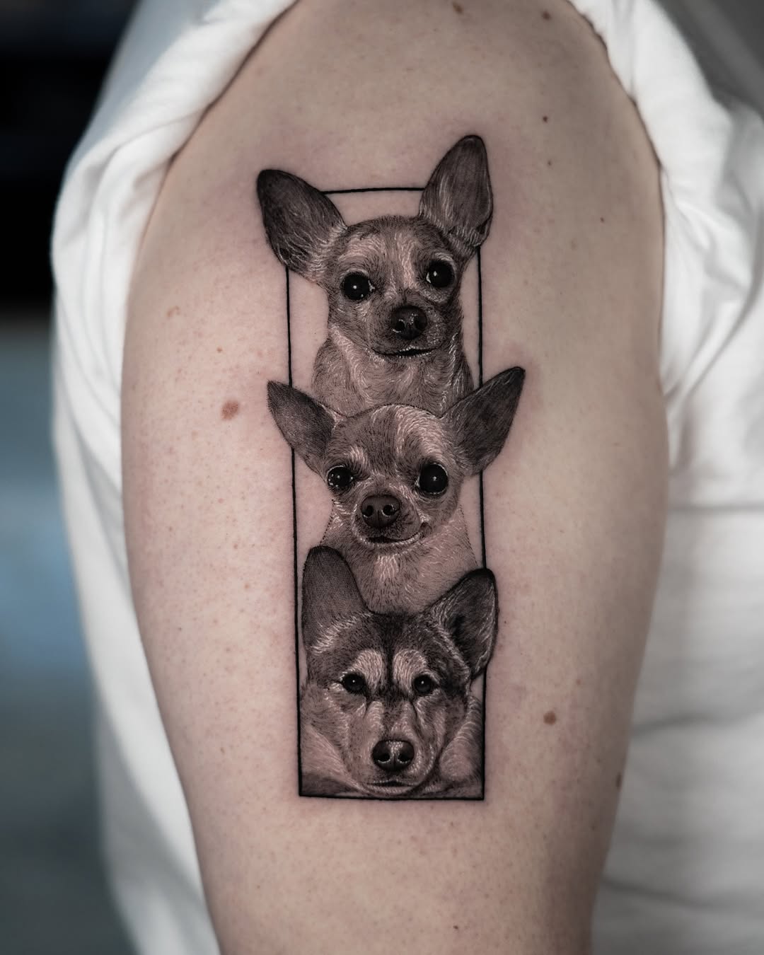 lewis.tattoo
