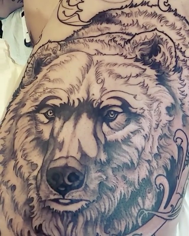 Animal