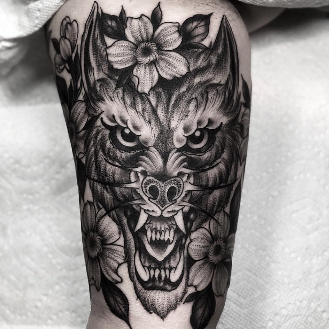 Animal, Tiger