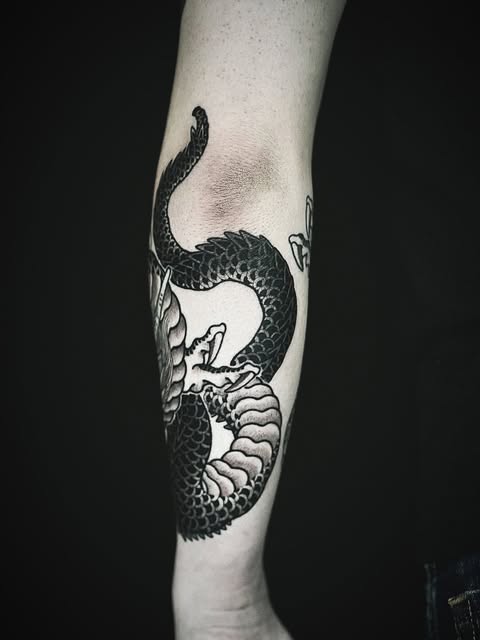 Dragon