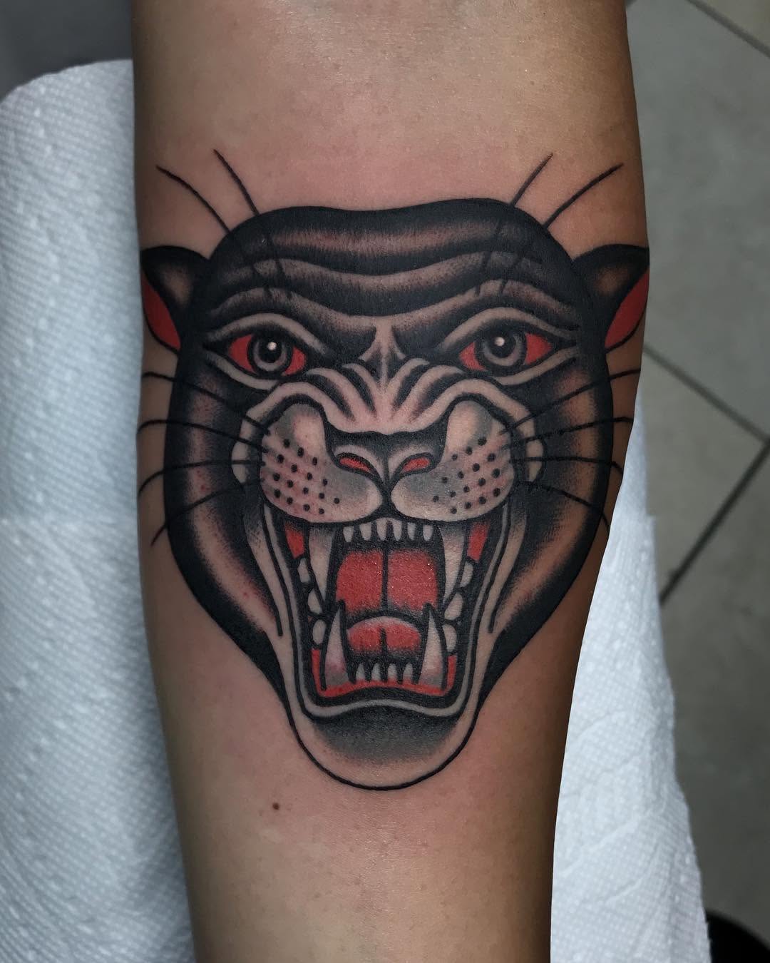 Animal, Tiger