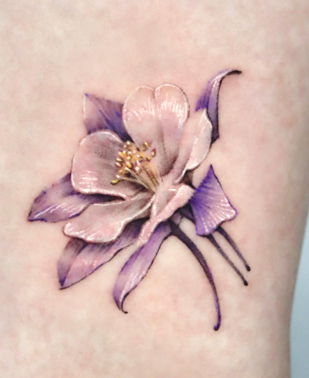 Flower, Nature