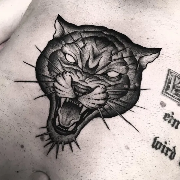 Tiger, Animal