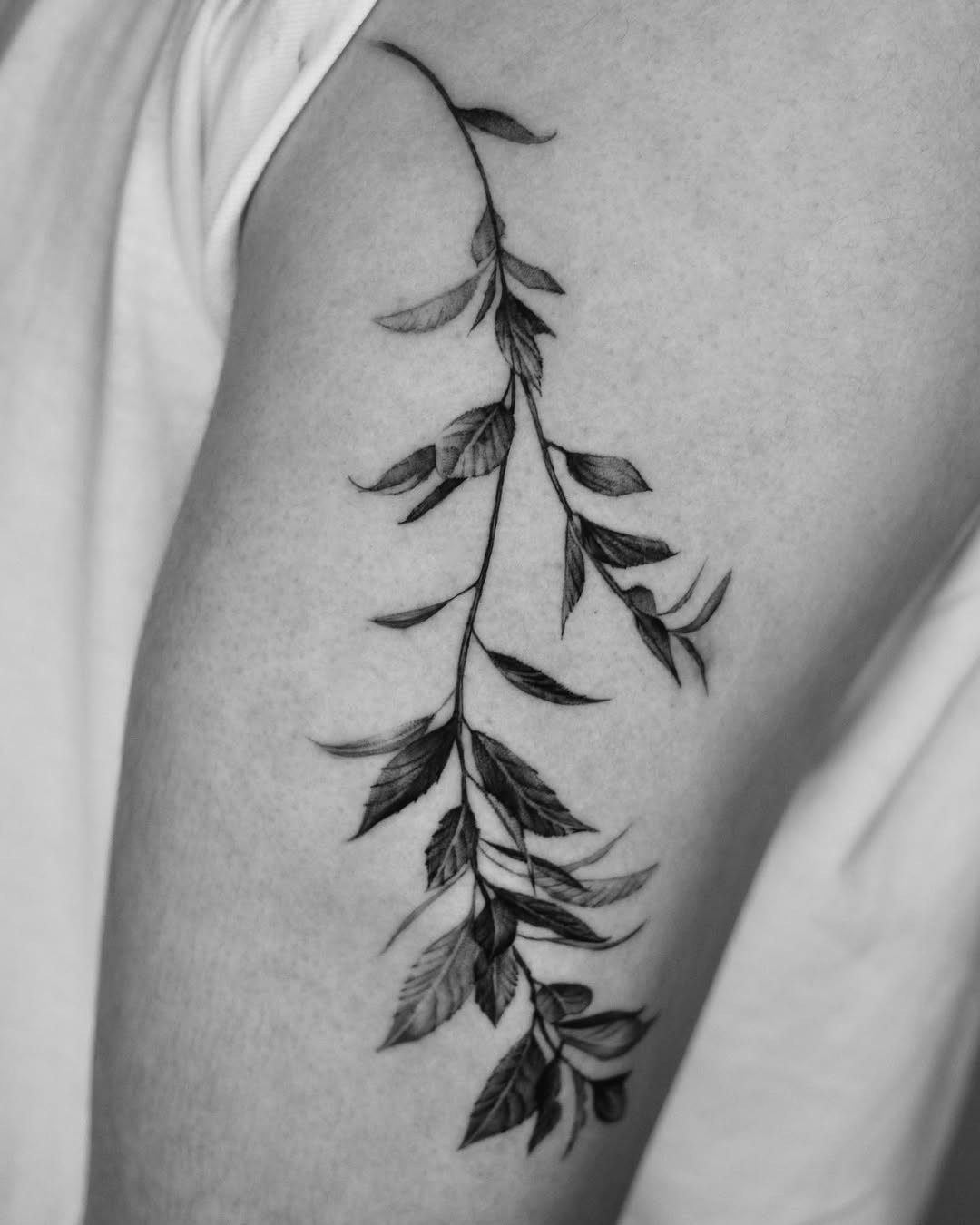 40.tatt