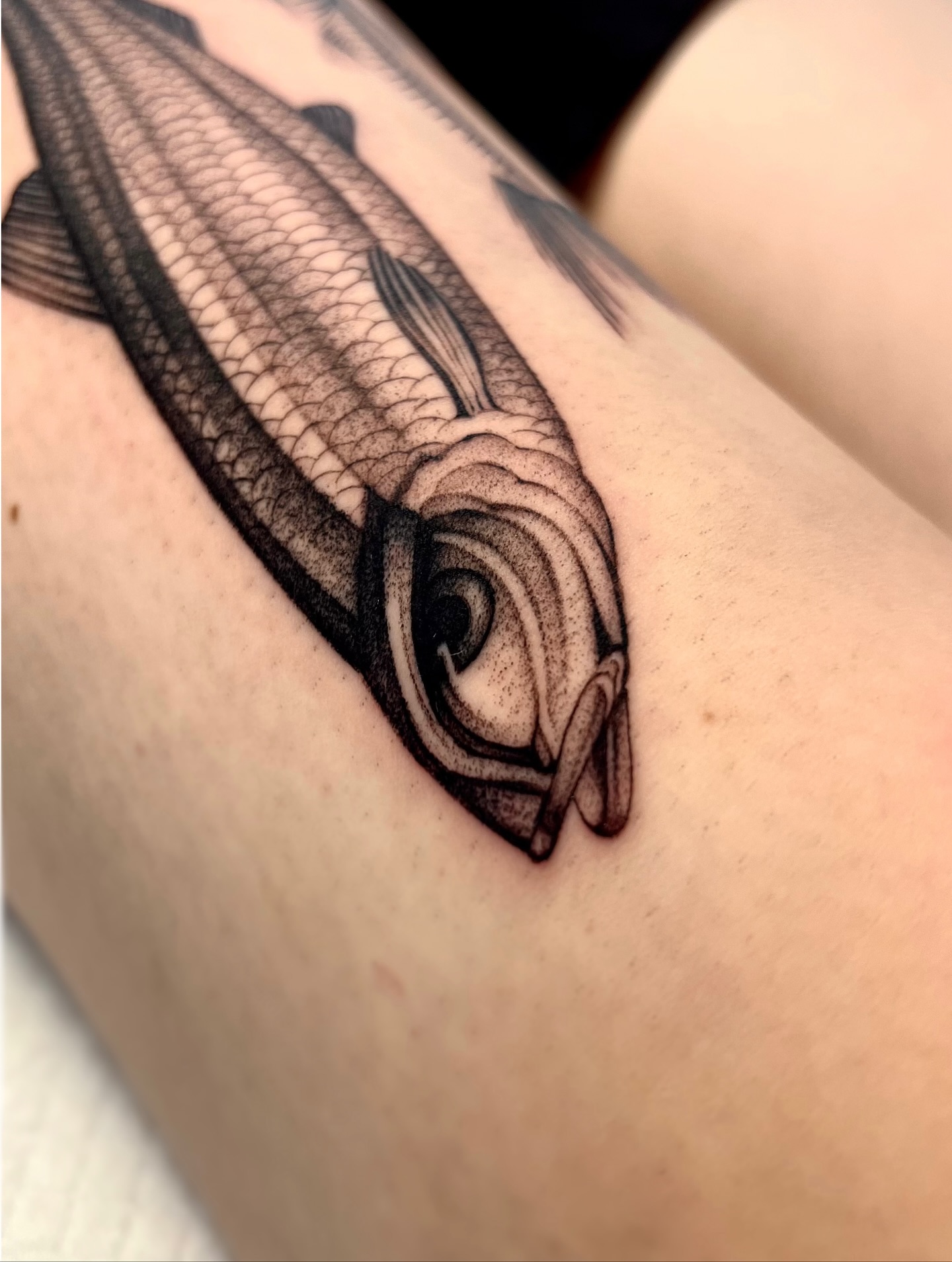 makar.tatt