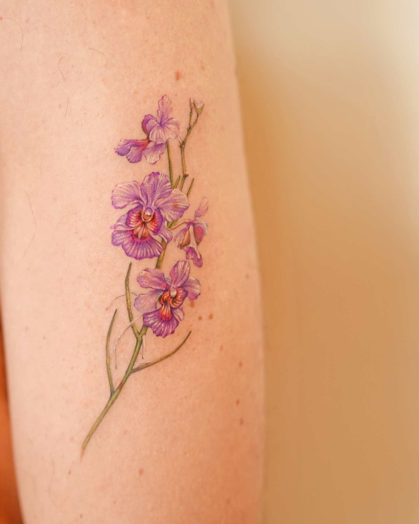 Flower, 난초