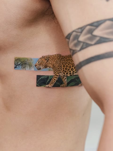 Animal, 표범, 재규어, 치타