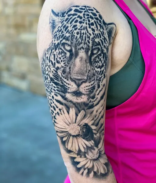Animal
