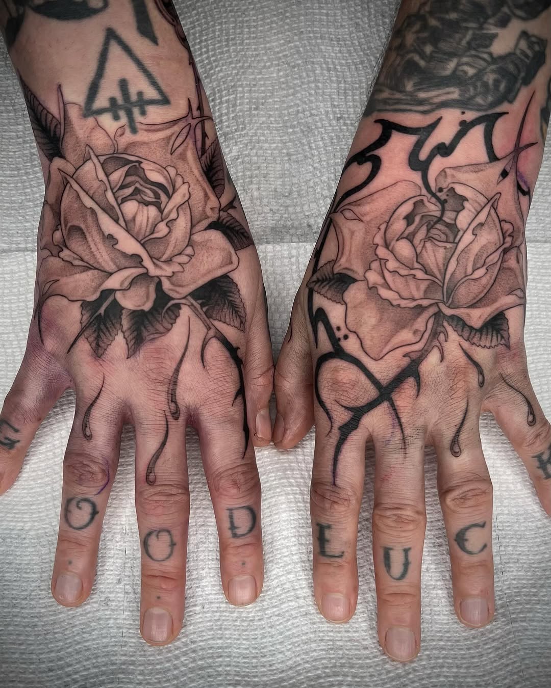 Flower, Rose