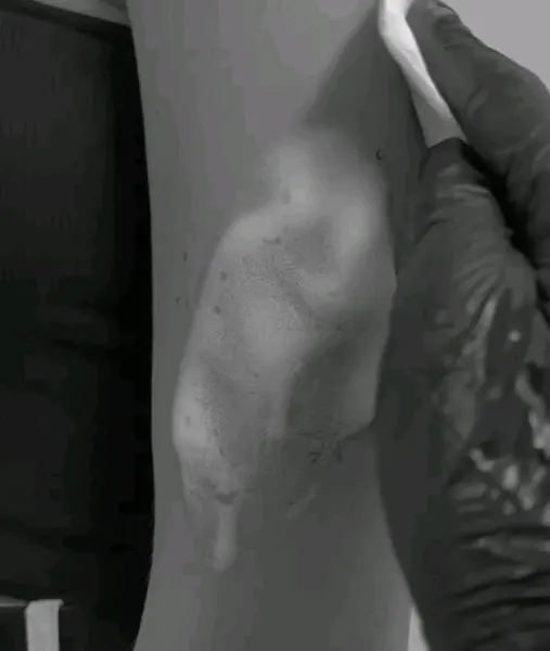 Mini, 별들, 성좌, 별, 불가사리