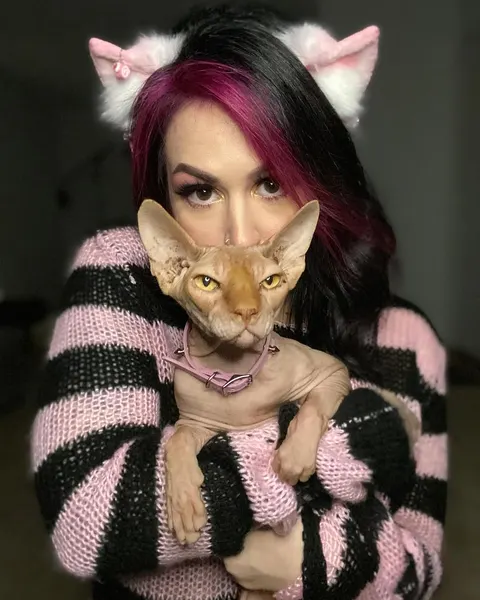 Animal