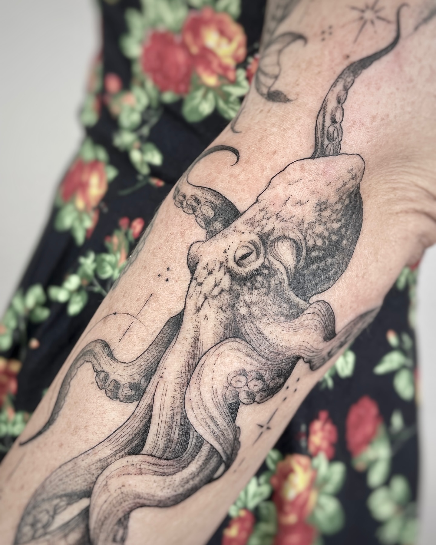 Animal, Dragon