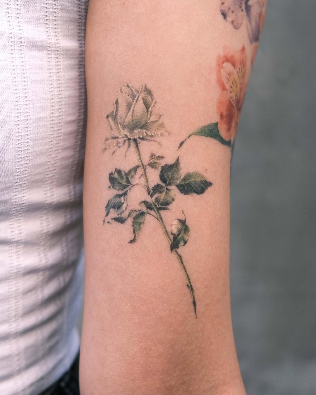 soltattoo