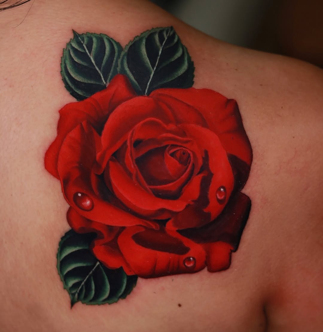 Flower, Rose
