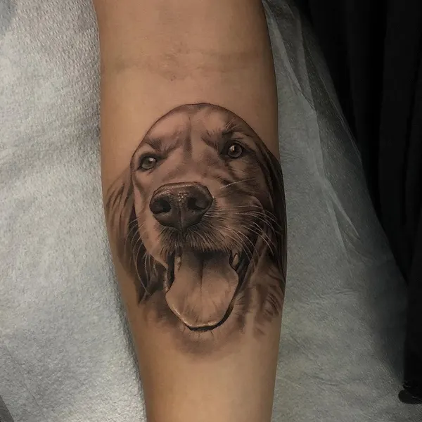 Animal, 강아지