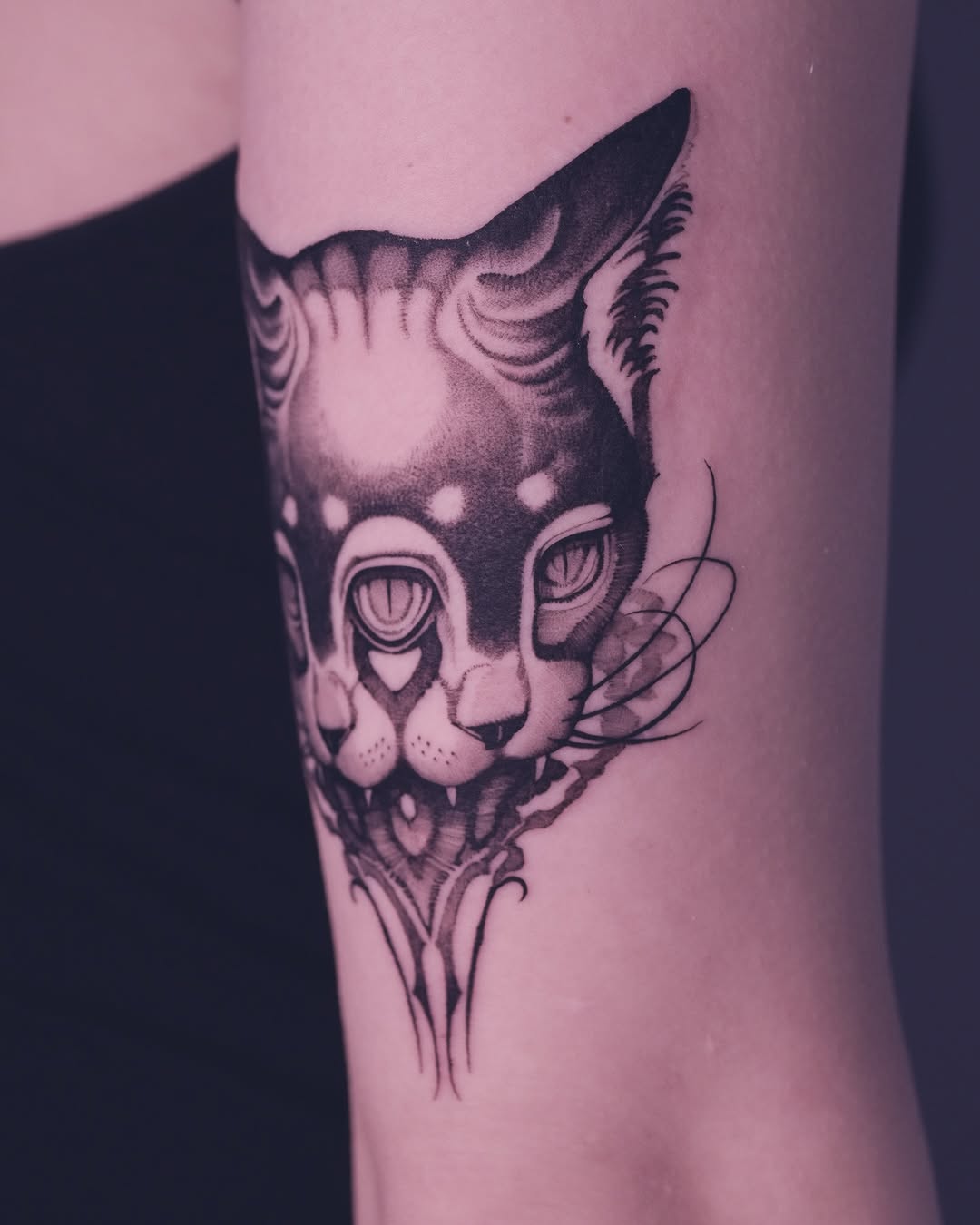 Animal, Tiger