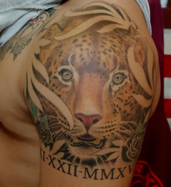 Animal, Tiger