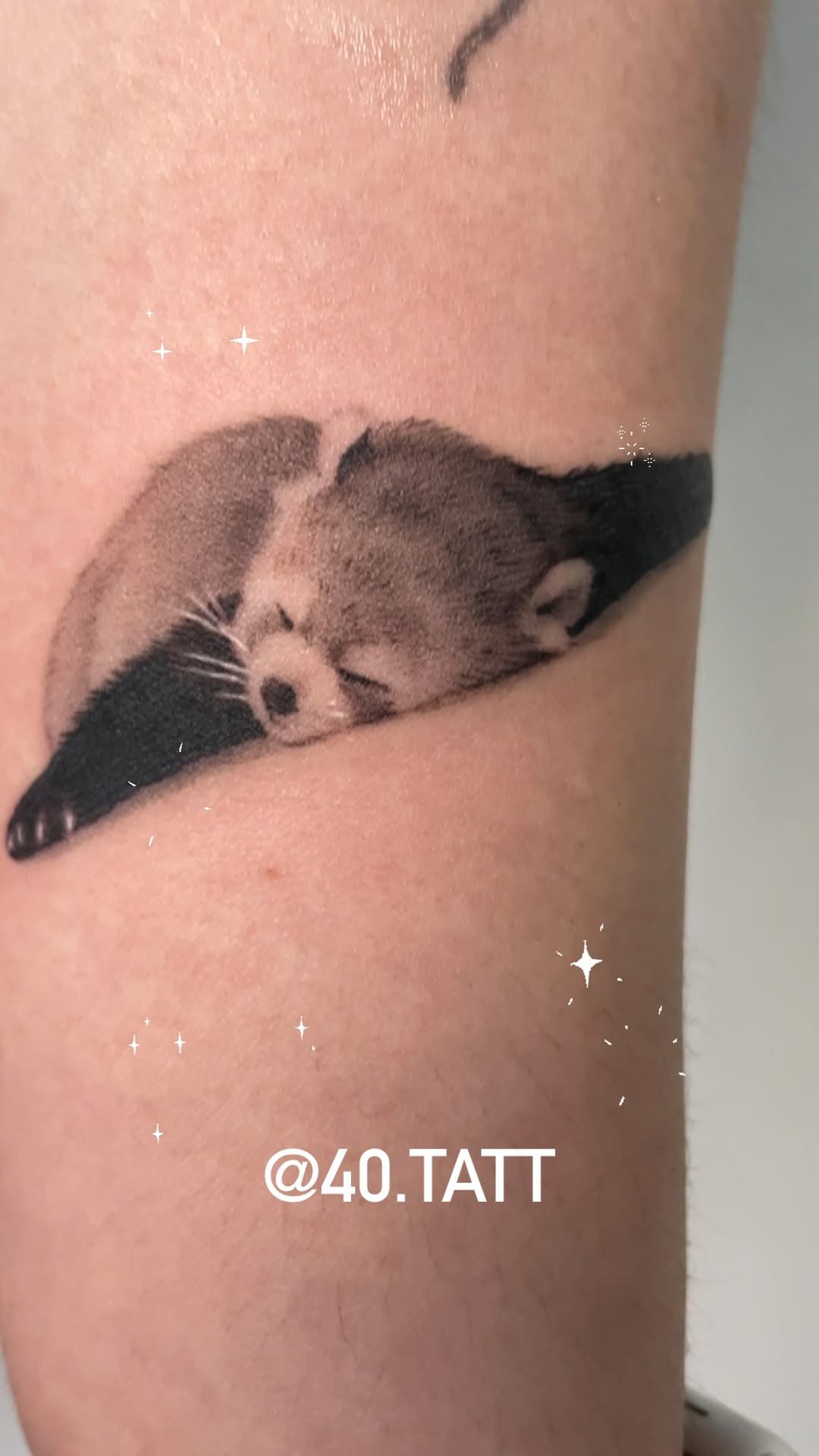 40.tatt