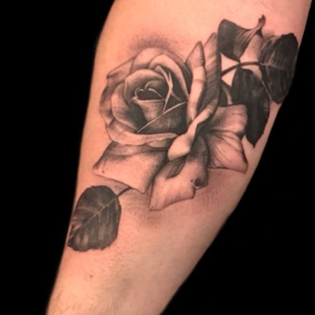 Flower, Rose