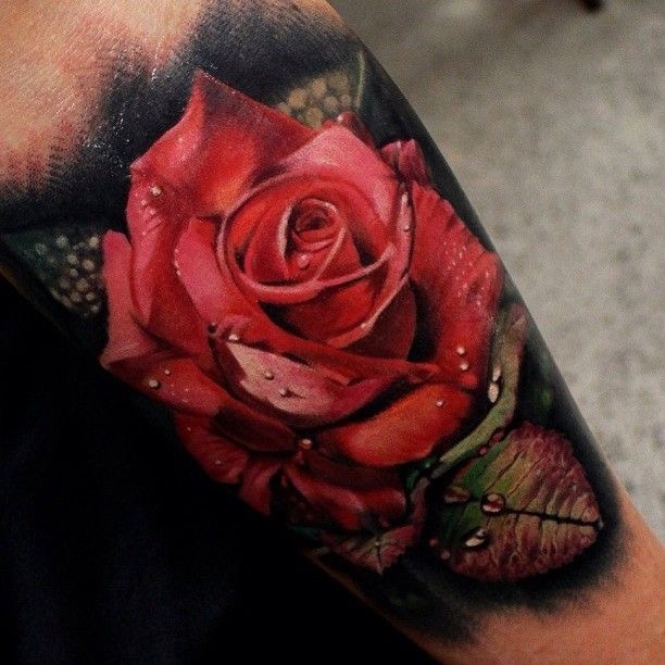 Flower, Rose