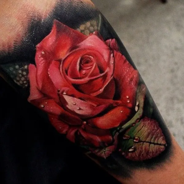 Flower, Rose