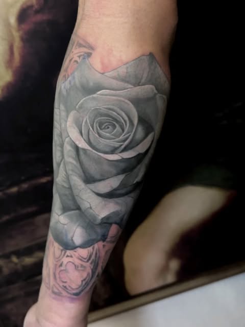 Flower, Rose
