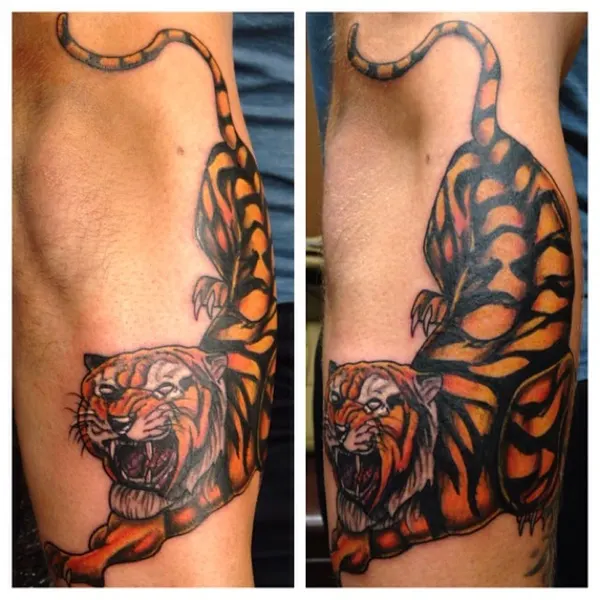 Tiger
