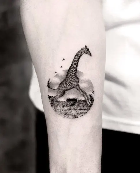 Animal