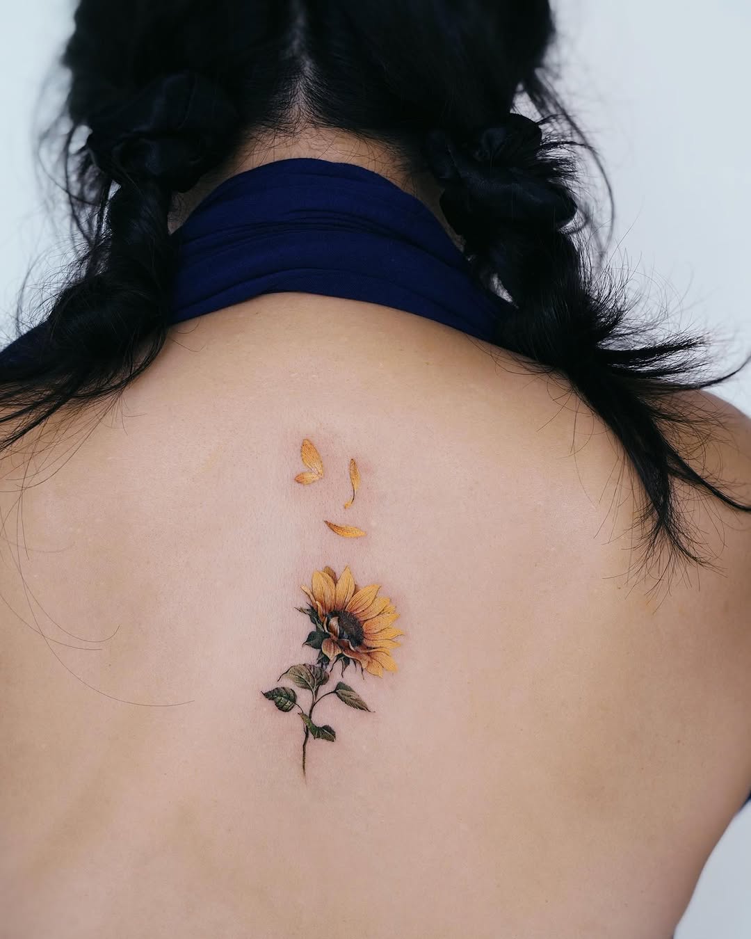 Flower, 해바라기, 데이지