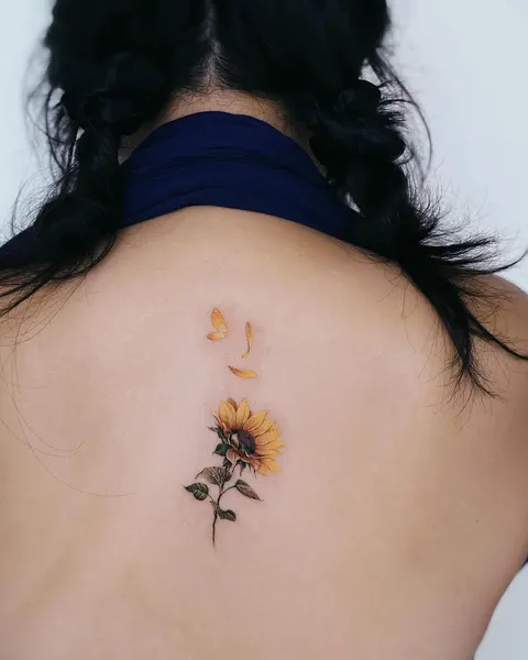 Flower, 해바라기, 데이지