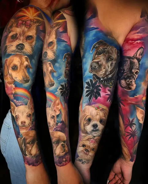 Animal