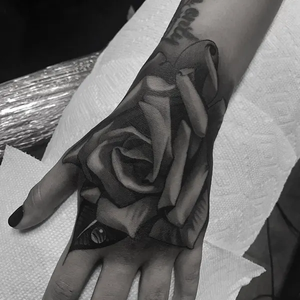 Flower, Rose