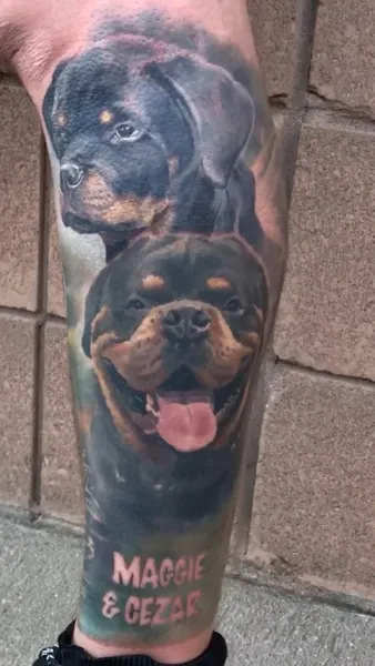 Animal